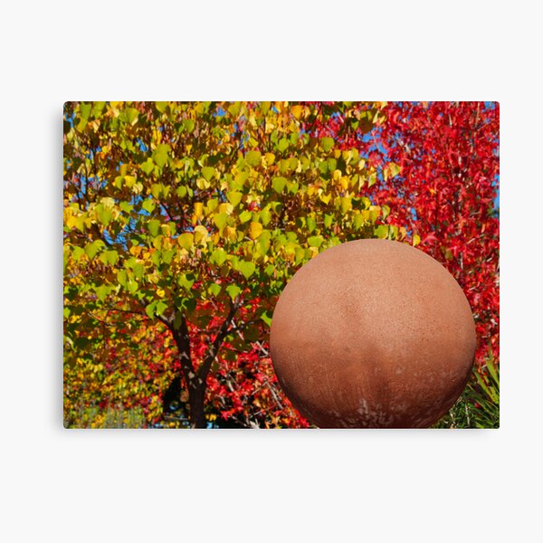 Fall Ball Canvas Print