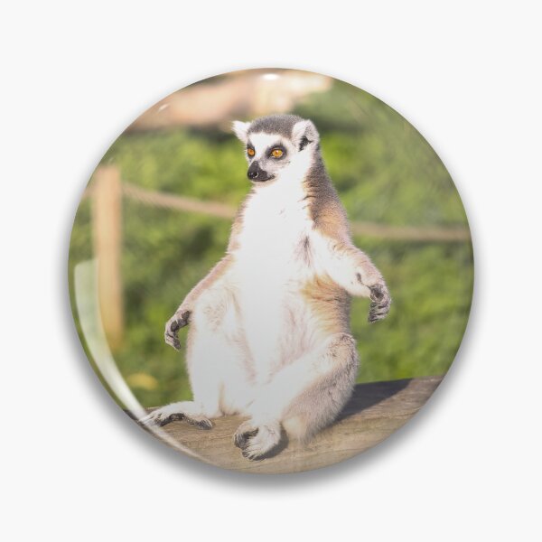 Artikelvorschau, Sitzender Affe entworfen und verkauft von BEastPhotos.