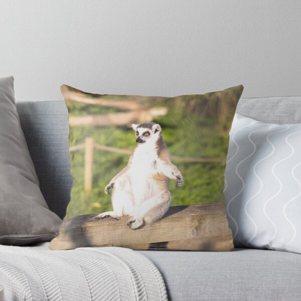 Item preview, Sitting Monkey designed and sold by BEastPhotos.