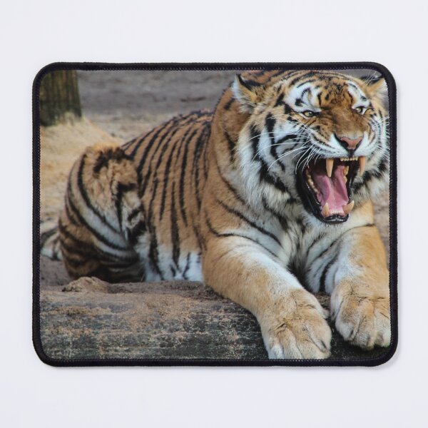 Item preview, Roaring Tiger designed and sold by UpwardsBound.