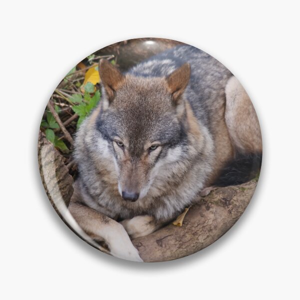 Item preview, Wolf designed and sold by BEastPhotos.