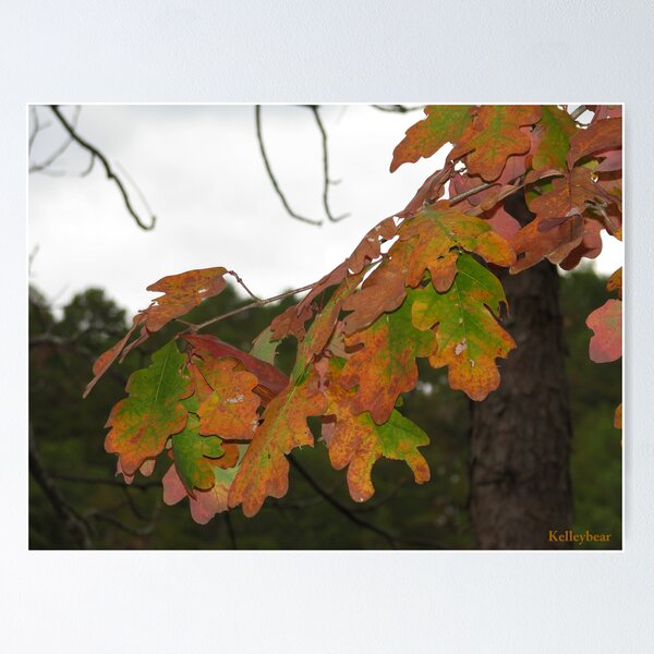 Item preview, Fall Leaves  designed and sold by kelleybear.