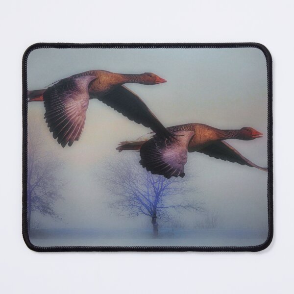 Item preview, Heading South designed and sold by James DeFazio.