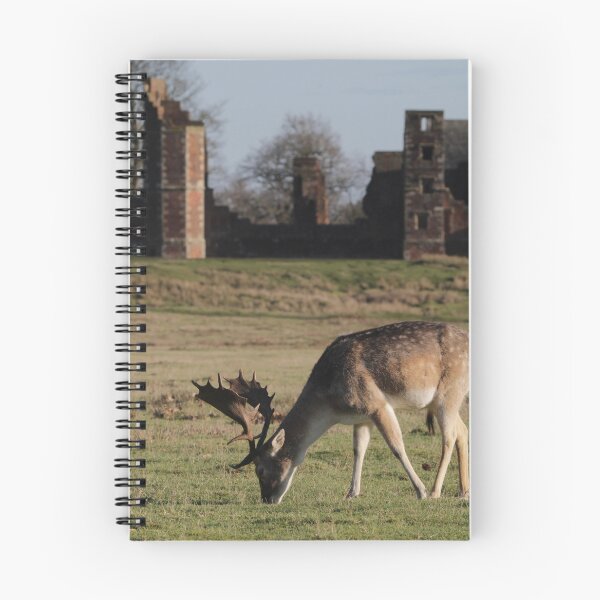 Item preview, deer grazing in front of historical ruins of bradgate park designed and sold by andy colegate.