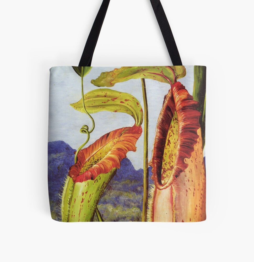 Nepenthes carnivorous pitcher plant - vintage painting