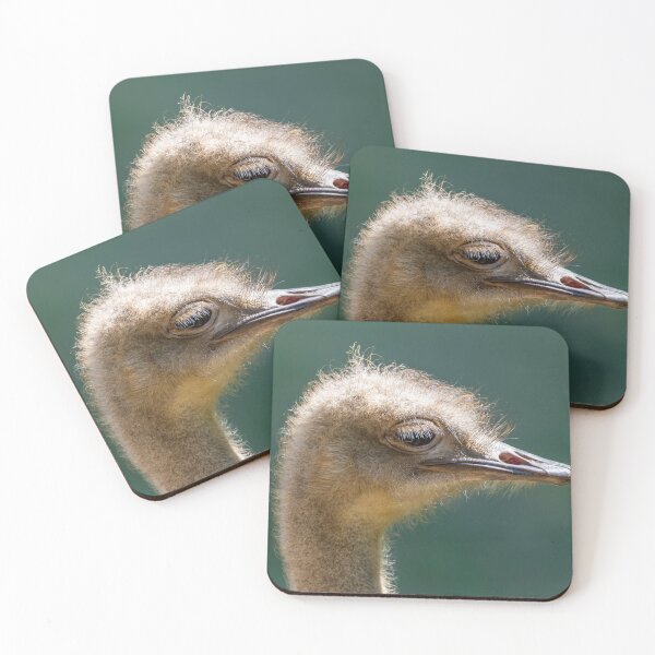 Item preview, Majestic Ostrich designed and sold by paulmorrishill.