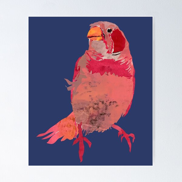 Item preview, Pink Zebra Finch Pet Bird Cutie  designed and sold by ginaisarty.