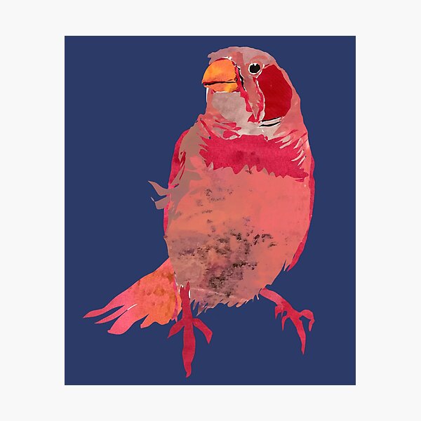 Item preview, Pink Zebra Finch Pet Bird Cutie  designed and sold by ginaisarty.
