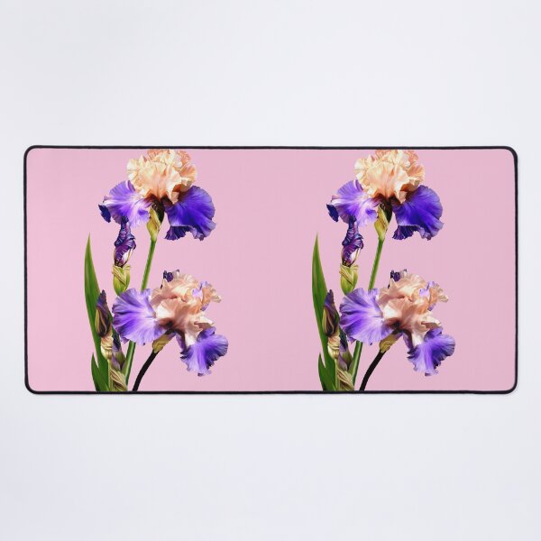 Item preview, Florentine Silk Iris designed and sold by Anthony Seeker.