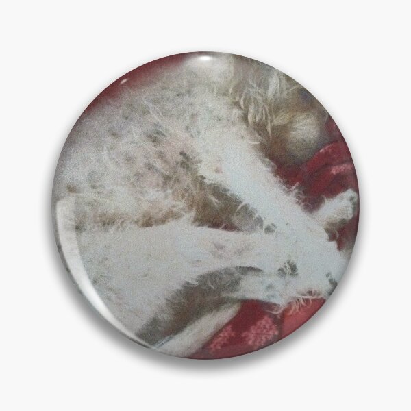 Item preview, Istrian sharp-haired beloved dog sleeping designed and sold by NinaButo986.