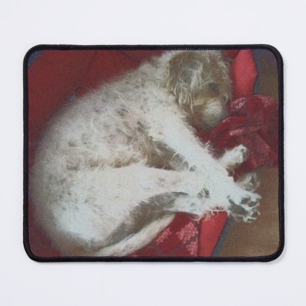 Item preview, Istrian sharp-haired beloved dog sleeping designed and sold by NinaButo986.