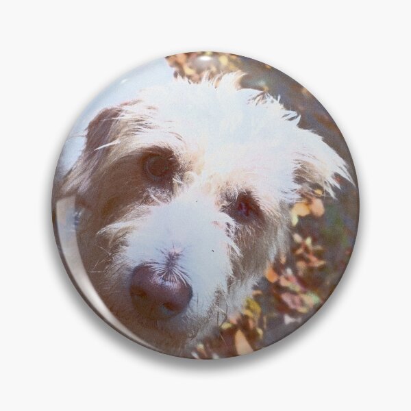 Item preview, Istrian sharp-haired wonderful hound designed and sold by NinaButo986.