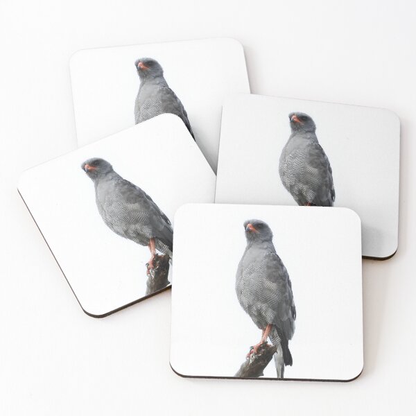 Item preview, Large Gray Bird designed and sold by DrAgonPhotos.