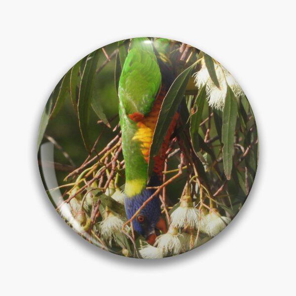 Item preview, Lorikeet  designed and sold by MissPell.