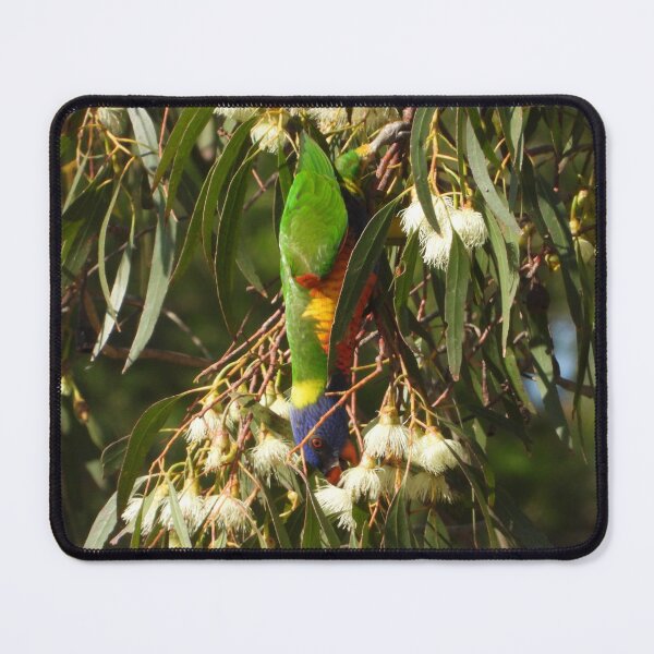 Item preview, Lorikeet  designed and sold by MissPell.