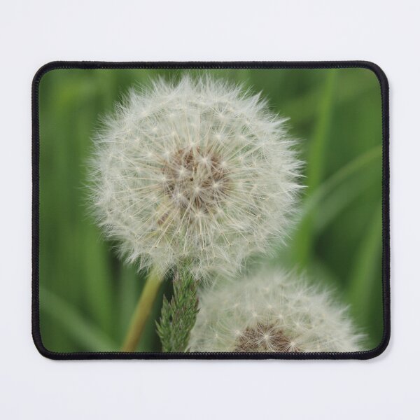 Item preview, Dandelion Wishes designed and sold by Fhfarms.