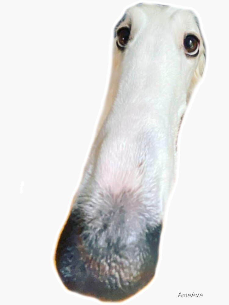 "Long majestic borzoi dog nose" Sticker for Sale by AmeAve Redbubble