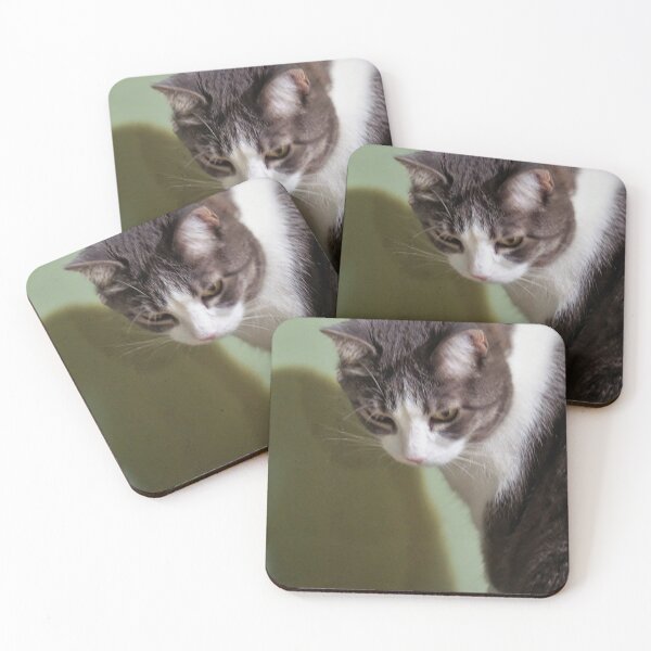 Item preview, White and Grey Tabby Cat Portrait 2 designed and sold by Vivar Photo.
