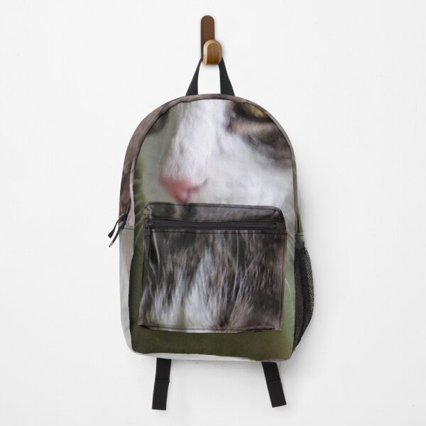Item preview, White And Tabby Cat Portrait designed and sold by Vivar Photo.