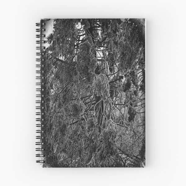 Item preview, Aftermath designed and sold by Hugh Olin Smith Jr.