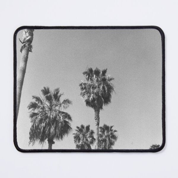 Item preview, Black & White Palm Trees, Vintage Film, Los Angeles, California designed and sold by newburyboutique.