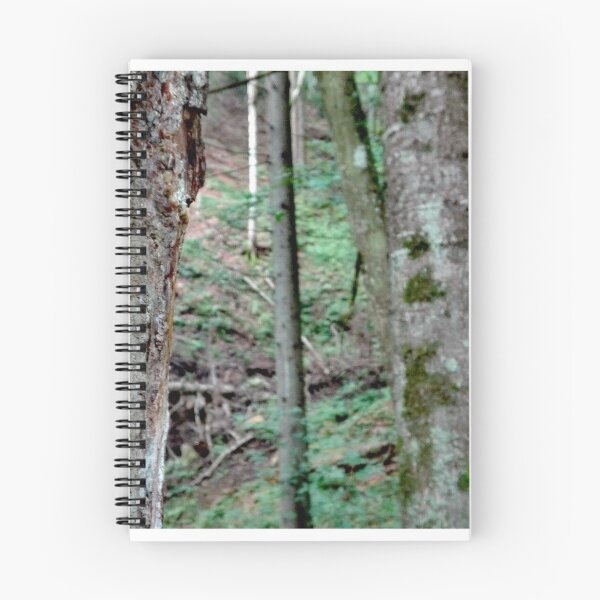 Item preview, Tree bark designed and sold by paneele.