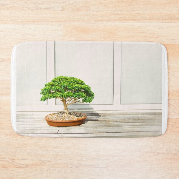 Item preview, Zen Bosai Tree, Bonsai Plant designed and sold by newburyboutique.