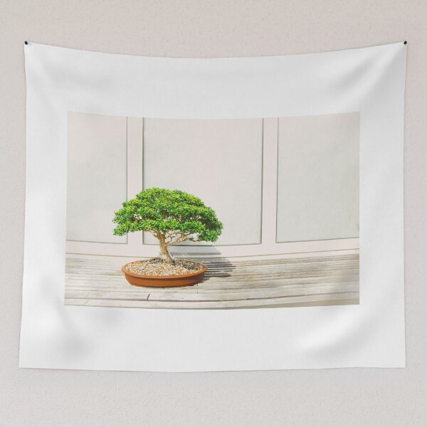 Item preview, Zen Bosai Tree, Bonsai Plant designed and sold by newburyboutique.