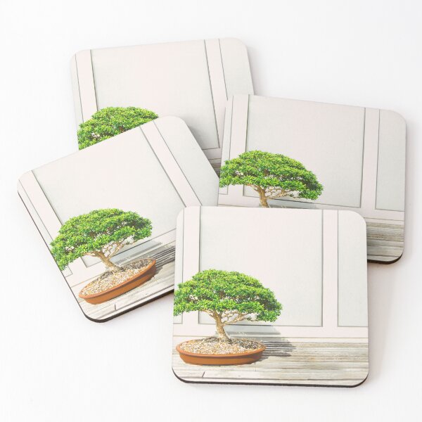 Item preview, Zen Bosai Tree, Bonsai Plant designed and sold by newburyboutique.