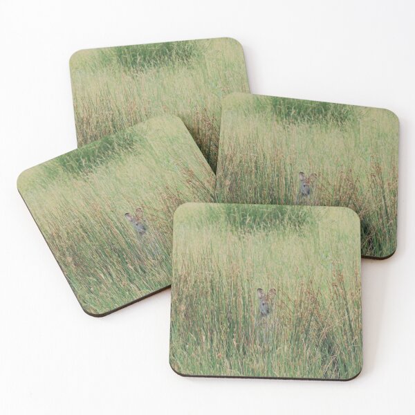 Item preview, Kangaroo playing hide and seek designed and sold by AHELENE.