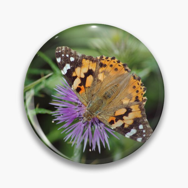 Item preview, Vanessa cardui designed and sold by iago rodriguez dopico.