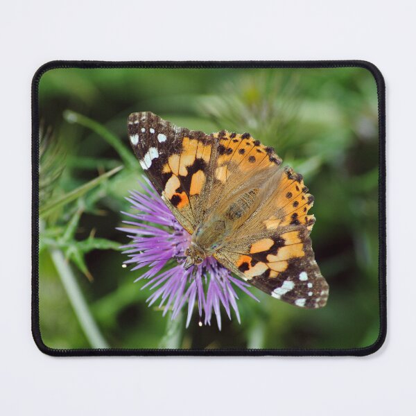 Item preview, Vanessa cardui designed and sold by iago rodriguez dopico.