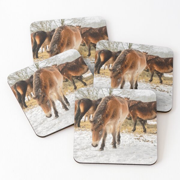 Item preview, exmoor ponies in a winter landscape designed and sold by Ronenvief.