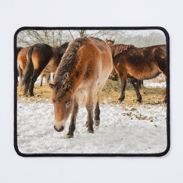 Item preview, exmoor ponies in a winter landscape designed and sold by Ronenvief.