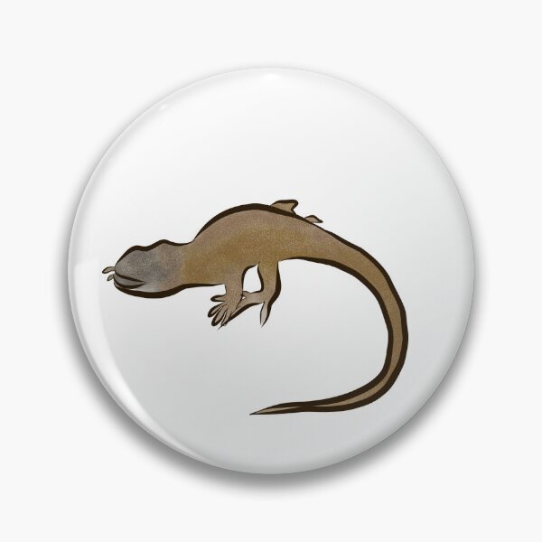 Item preview, Peruvian lizard, Proctoporus titans, new species, news designed and sold by qalamiz.