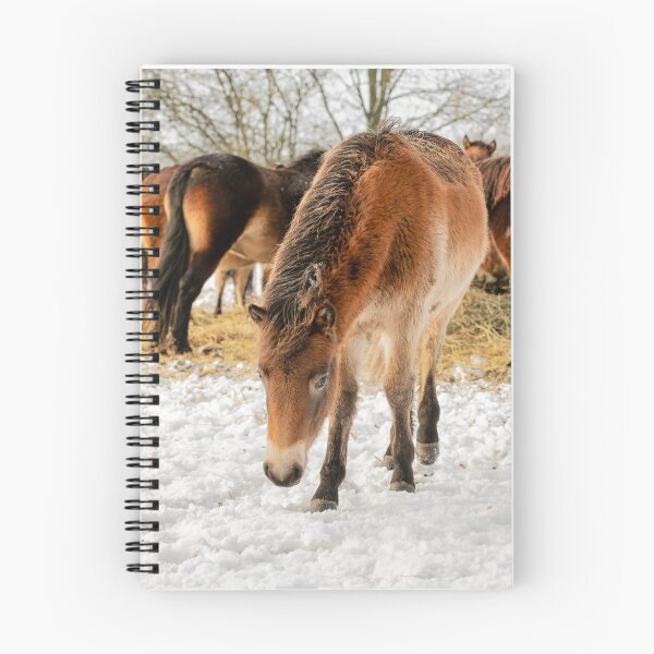 Item preview, exmoor ponies in a winter landscape designed and sold by Ronenvief.