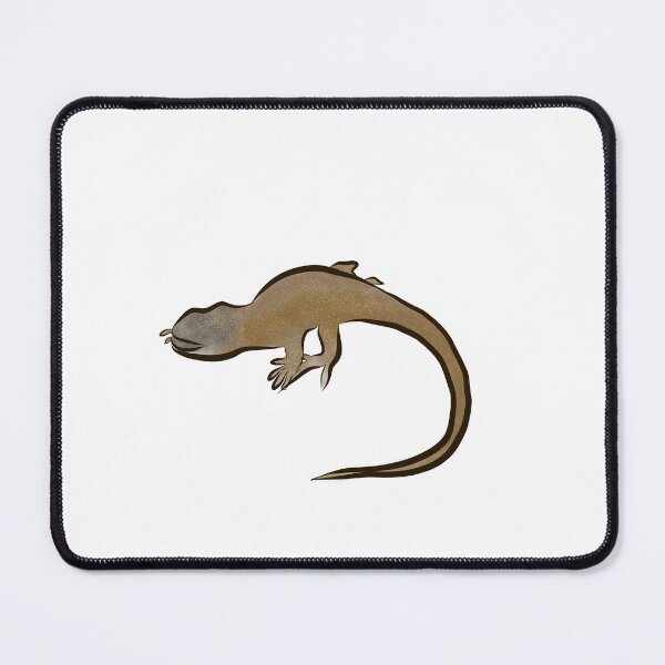 Item preview, Peruvian lizard, Proctoporus titans, new species, news designed and sold by qalamiz.