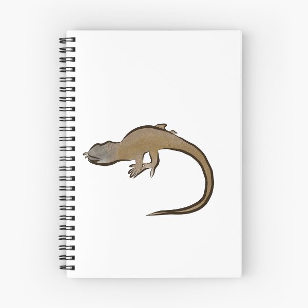 Item preview, Peruvian lizard, Proctoporus titans, new species, news designed and sold by qalamiz.