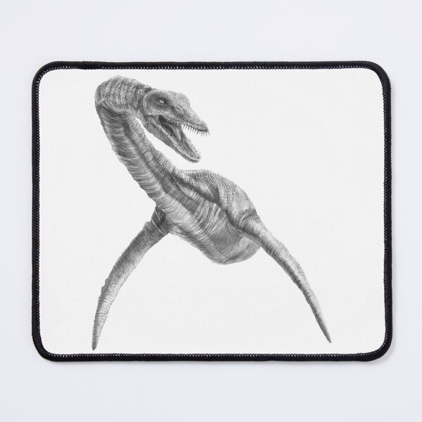 Item preview, Pliosaurus designed and sold by TimeSkiff.