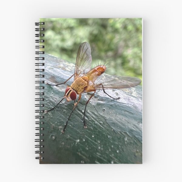 Item preview, Red Eyed Fly designed and sold by Kara Rountree.