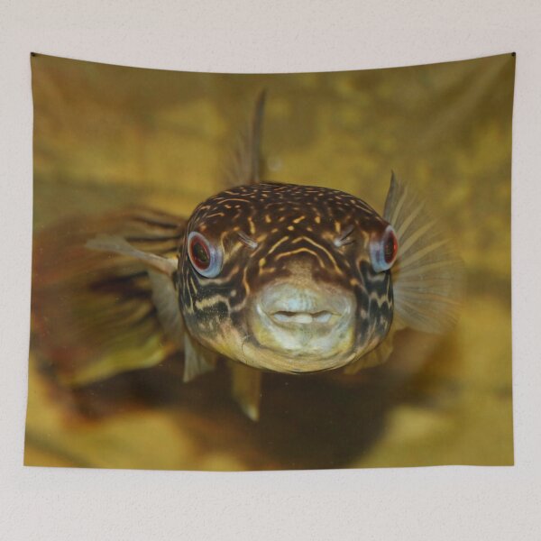 Item preview, Puffer Fish ?? designed and sold by AnnDixon.