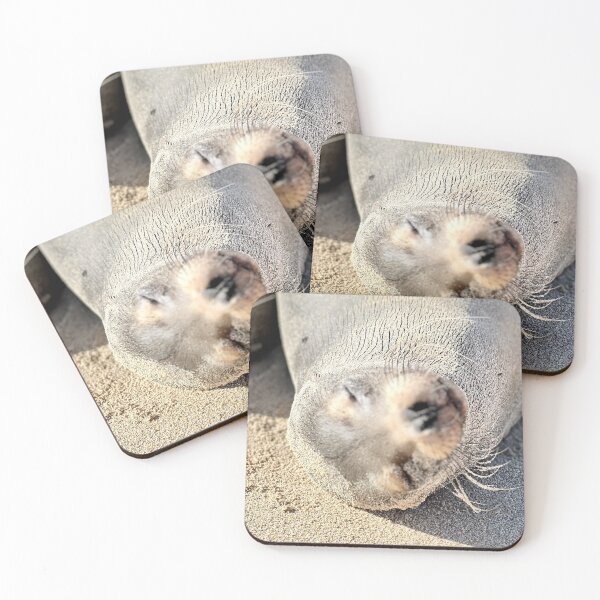 Item preview, Sea Lion Smiles designed and sold by Kara Rountree.