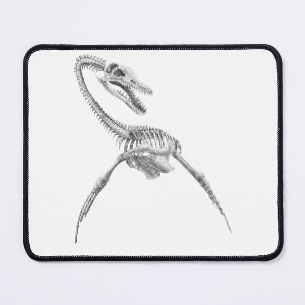 Item preview, Pliosaurus skeleton designed and sold by TimeSkiff.