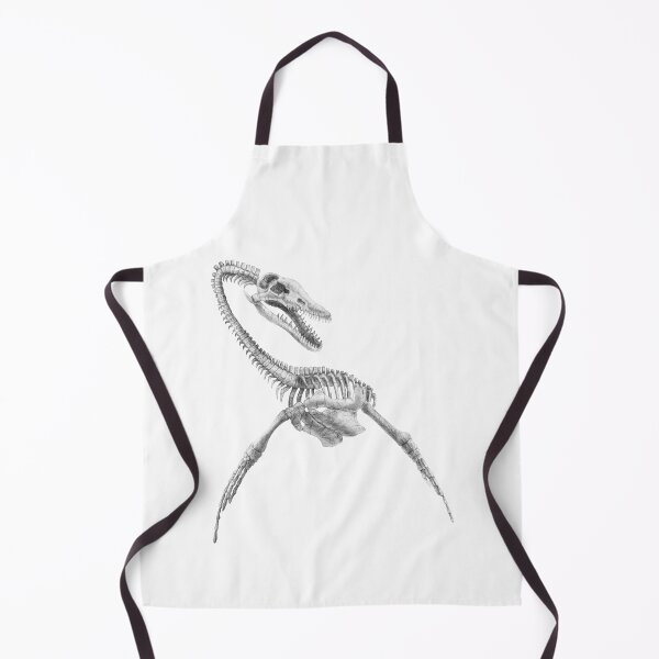 Item preview, Pliosaurus skeleton designed and sold by TimeSkiff.
