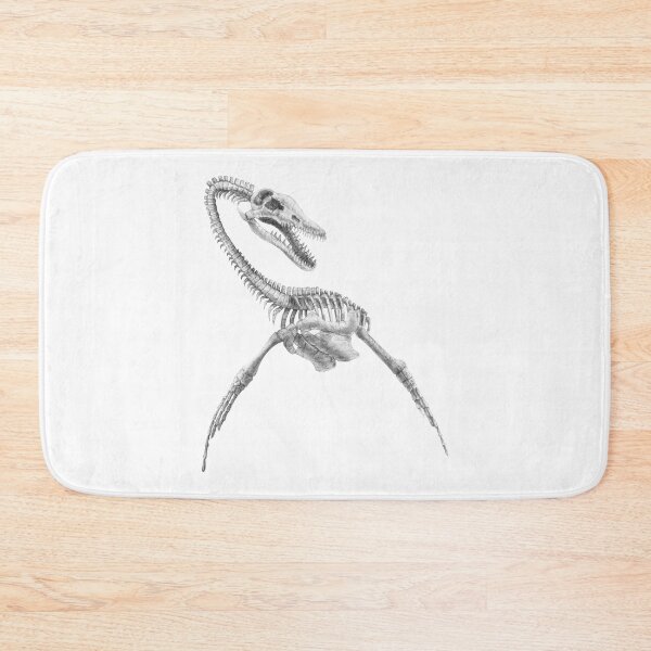 Item preview, Pliosaurus skeleton designed and sold by TimeSkiff.