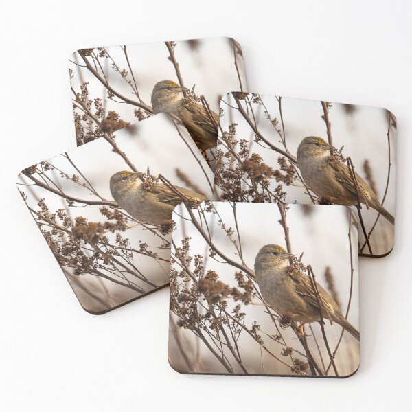 Item preview, Golden-crowned Sparrow designed and sold by Joel Hunter.