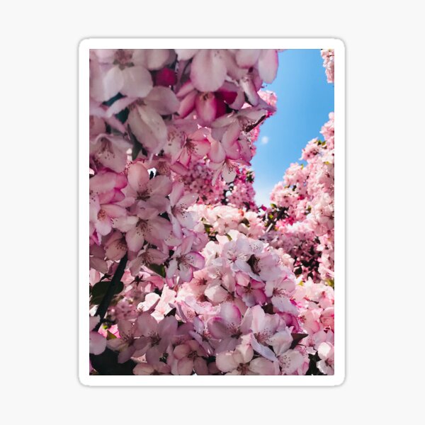 Spring Flowers Sticker