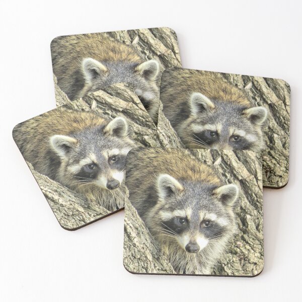 Item preview, North American Raccoon No.1 designed and sold by MaryLinH.