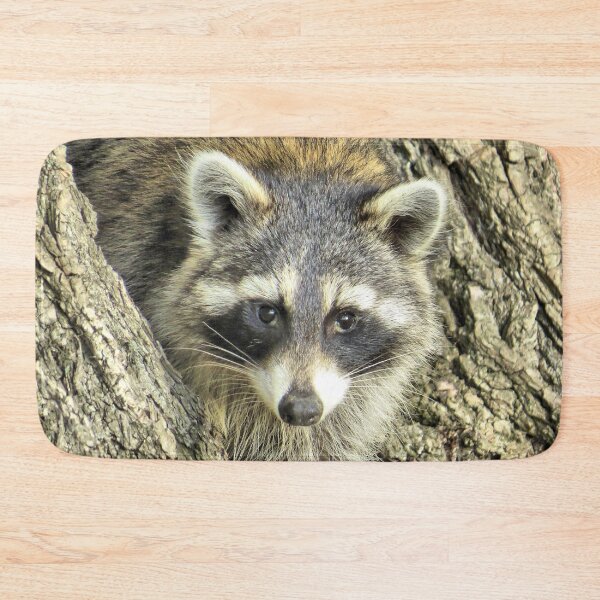 Item preview, North American Raccoon No.1 designed and sold by MaryLinH.
