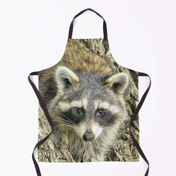 Item preview, North American Raccoon No.1 designed and sold by MaryLinH.